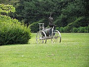 Ralf (37).jpg